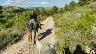 Así les recortamos los cascos - Un Paseo a Caballo por la Sierra