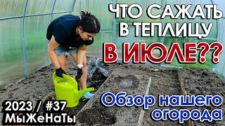 #37/2023/ Что сажаем в теплицу? / Выросла свёкла и краснеют помидоры