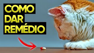 Como dar REMÉDIO para Gato - Técnica Infalível