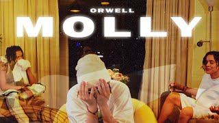 Orwell - MOLLY  (Official Video)