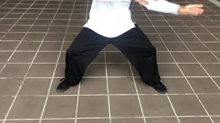 Chen Taiji- Leg movement- Master 方祖豪 Fong Zuhao