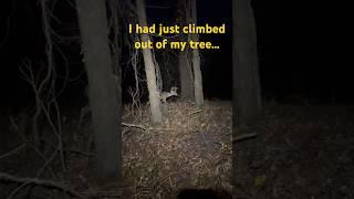 Close Call After Dark | Arkansas Public Land  #deerhunting #publicland