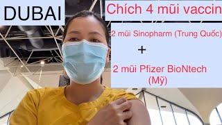 Dubai tớ đã chích 4 mũi vaccin rồi 2 mũi vaccin Sinopharm (Trung Quốc) và 2 mũi vaccin Pfizer (Mỹ)