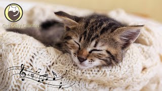 Music for Cats - Relaxing Sleep Music, Calming Music, Stress Relief