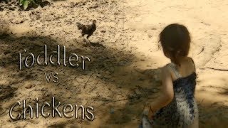 Chickens Chase Child!