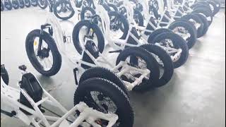 2024 Top 3 Best Electric Tricycle  48v 1000w 24AH（Samsung) 3 Wheel E-Bike Trike Ready to ship