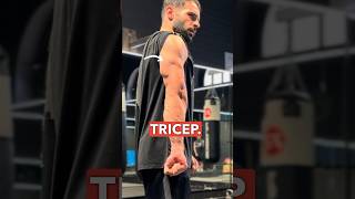 Grow your TRICEPS with these essential muscle-building tips