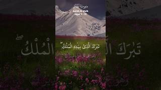 Surah Al mulk | recitation of Holy Quran | heartfelt voice #love #viralvideo #muhammadﷺ