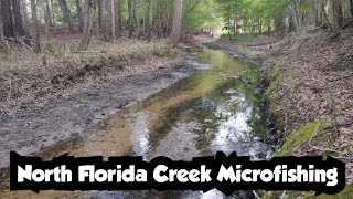 North Florida Creek Microfishing