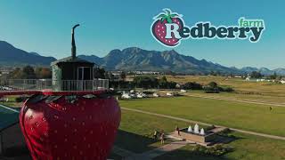 The Giant Strawberry at Redberry Farm