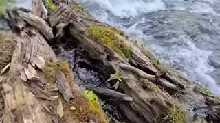 chulada de naturaleza en los lugares más remotos