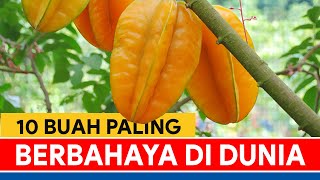 10 Buah Paling Berbahaya di Dunia