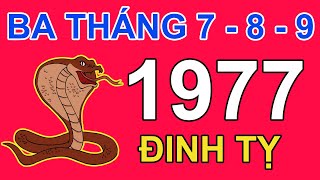 Tử Vi Tuổi Đinh Tỵ 1977 Trong 3 Tháng 7, 8, 9 2024 Âm lịch Giáp Thìn | Triệu Phú Tử Vi