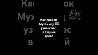 Как пророк Мухаммад ﷺ узнает нас в судный день?#религия #islam #prophetmuhammad #напоминание