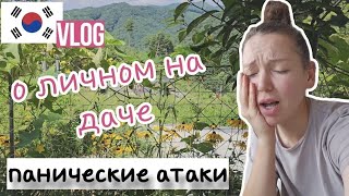 О личном на даче / KOREA VLOG