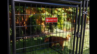 Lucky Dog® STAY Series™ Executive and Presidential Kennel Installation