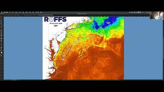 Northeastern U.S. Ocean Conditions Update - 07/17/2023