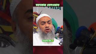 চমৎকার তেলওয়াত, মুফতী মুস্তাকুন্নবী কাসেমী। বাংলা ওয়াজ। bangla waz. #কুরআন #waz #ওয়াজ