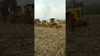 3 Tractor sugarcane LOAD