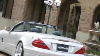 Wald Mercedes Benz SL500