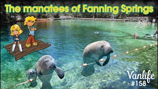 VANLIFE #158 - The manatees of Fanning Springs