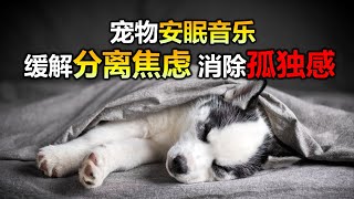 🐶【狗狗也爱听音乐! 毛孩摇篮曲】8小时让狗狗深度放松的音乐🐶小狗安眠音乐 宠物疗愈音乐  🎵🎶  放松毛孩子的心情，降低焦虑和紧张情绪  放松你的狗狗  睡眠音乐 安抚放松你的狗狗