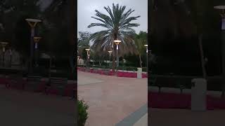 #shortvideo #viralvideo #viralmusic #dubaivlog #dubaipark