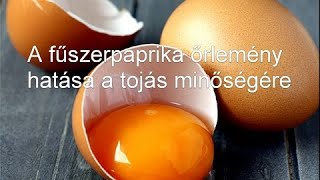 A fűszerpaprika őrlemény hatása a tojás minőségére