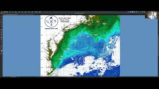 Northeastern U.S. Ocean Conditions Update - 07/31/2023