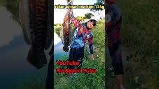 12kg MONSTER TOMAN TAIWAN  #short #ketapelikan #slingshot #viral #trending