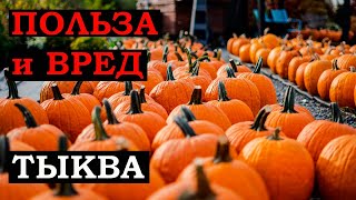 Что творит ТЫКВА с организмом? Польза и вред тыквы