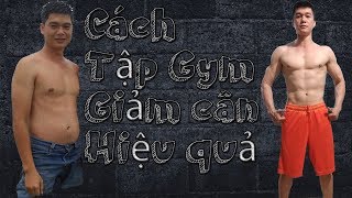 Hướng dẫn cách tập Gym để giảm cân Giảm mỡ hiệu quả dành cho người mới | Dinh dưỡng để giảm mỡ