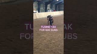 Tusind tak er så glad #pony #horse #shortvideo #cutepony #600subs