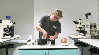 How to extract DNA from tomatoes - Norwich Science Festival