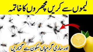 Best Mosquito Killar🦟 | Kitchen Tips and Tricks | Kitchen Hacks | Useful Life Hacks