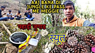 Aaj bana di Jungle mein Meggie। Pahadi Jugad।vlog with @hemupahadi004