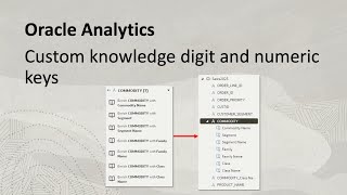 Custom knowledge digit and numeric keys in Oracle Analytics