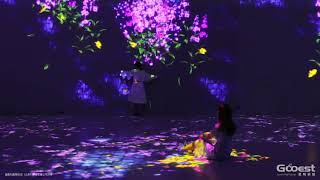 Immersive Experience Digital Art Works by Gooest Tech --Flower Sea