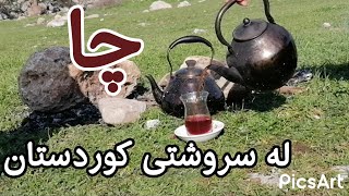 چایــــەک لـــەسروشتــــــــــی کوردستان