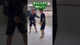 後ろから足を極めよう #jiujitsu #柔術#technic#mma#格闘技