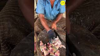 KASIMEDU FISH CUTTING VIDEO / cutting focus #kasimedu #bigfishcutting #bigfish #cuttingskills