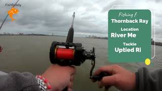 Catching Thornback Ray on the River Mersey