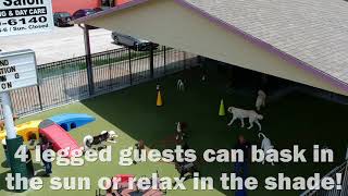 The Dog House Pet Salon remodels its outdoor play area!