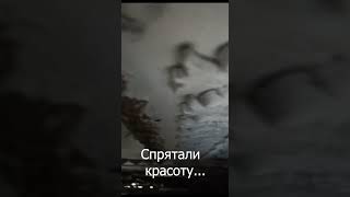 Спрятали красоту #shorts