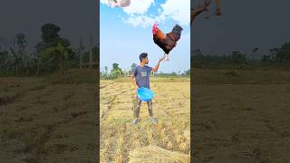 Flying crying babies Catching vs hen, parrot & puppy & yellow lizard- #funny #short