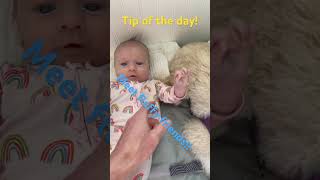 Tip of the day! Meet fluffy friends early #cutebaby #newborn #newdad #newdads #baby #babydevelopment