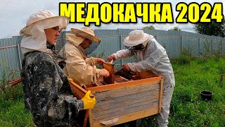 Медокачка 2024. Откачка мёда на деревенской пасеке.