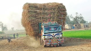 New Power Full Hino Truck || Hino 22 Wellear Heavy Loded Sugarcane fa's Poling