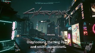 Empty highway at night - Cyberpunk 2077 mellow tunes - 20 minutes