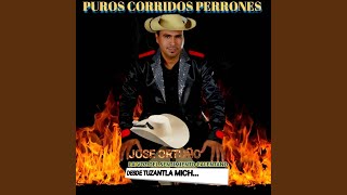 El Corrido de Gonzalo Castro